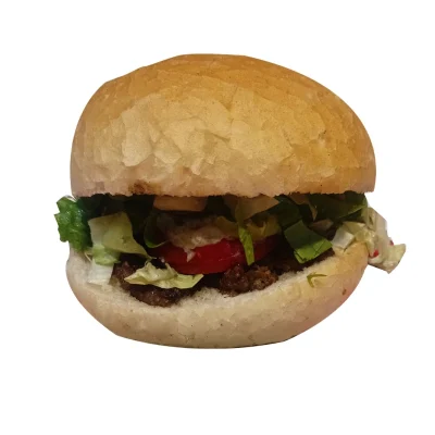 همبرگر مخصوص - چهارفصل