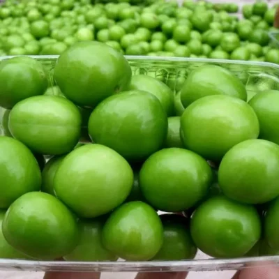 گوجه سبز-میوه سرای محمدزاده