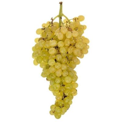 انگور زرد 1 کیلو